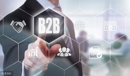 B2B電子商務(wù)實施細(xì)節(jié) 企業(yè)成功的關(guān)鍵