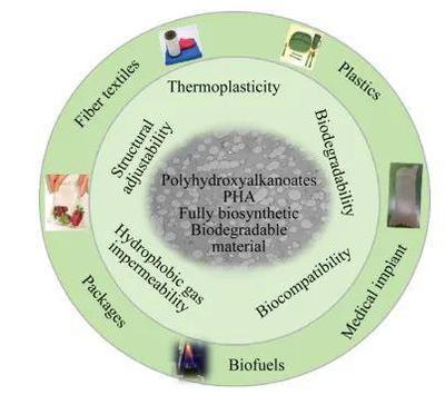 限塑令驅動PHA產業升級，巨頭入局引領生物降解塑料新浪潮