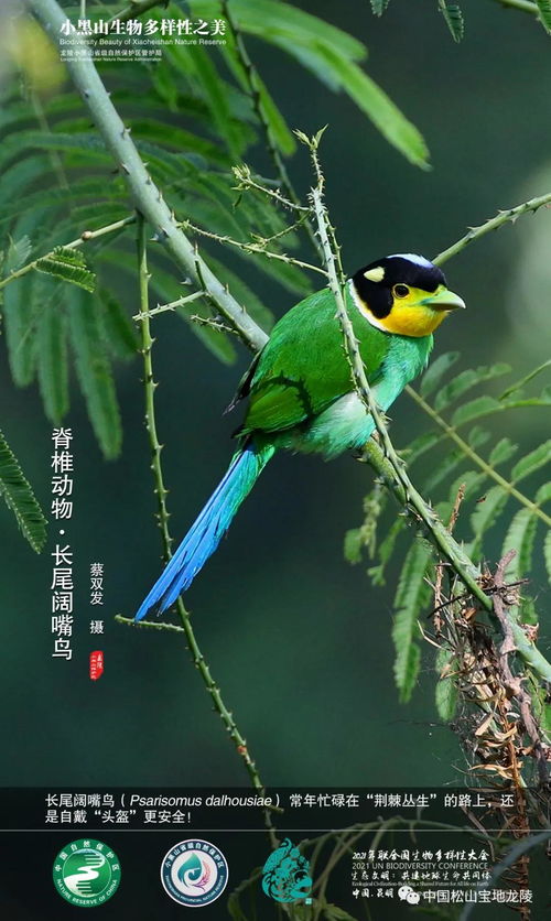 北緯24度 生物多樣性的獨特魅力與生態密碼
