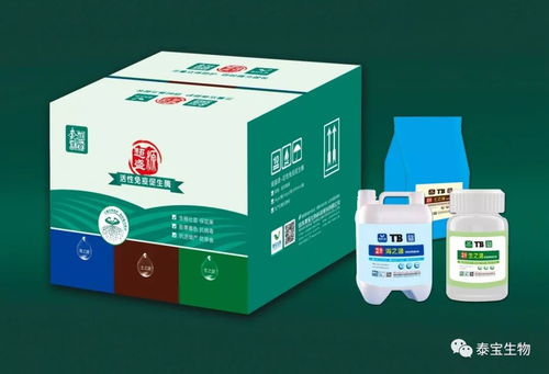 看不見的生命線——根系如何成為作物產量的決定性因素