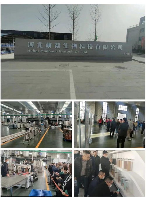 技術創新引領市場 撬動生物刺激劑類物質重組，萌幫股份發展步入新階段