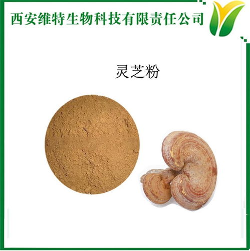 靈芝提取物與靈芝粉 維特生物的技術優勢與應用前景