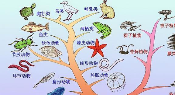 生物鏈 vs 食物鏈 生態系統中不可或缺的兩個環節